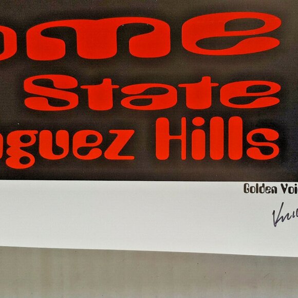 BEASTIE BOYS Gig POSTER KOZIK S/N Edition 1995 32" X 26" BRUCE LEE - Picture 8 of 9